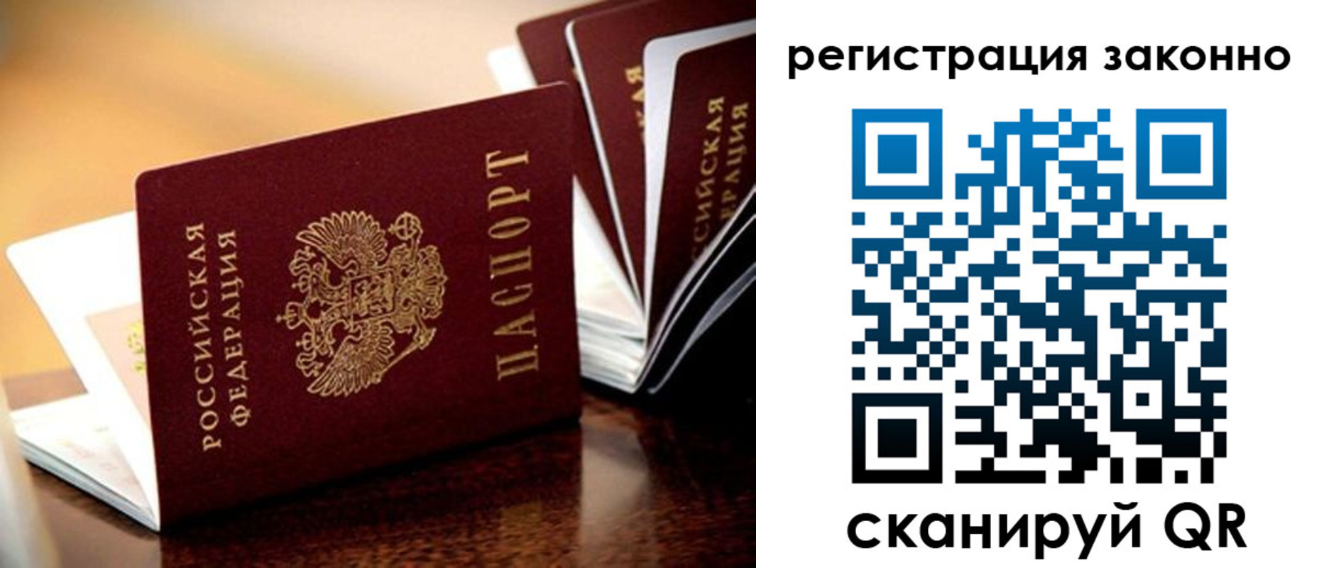 прописка для школы в Тимашёвске